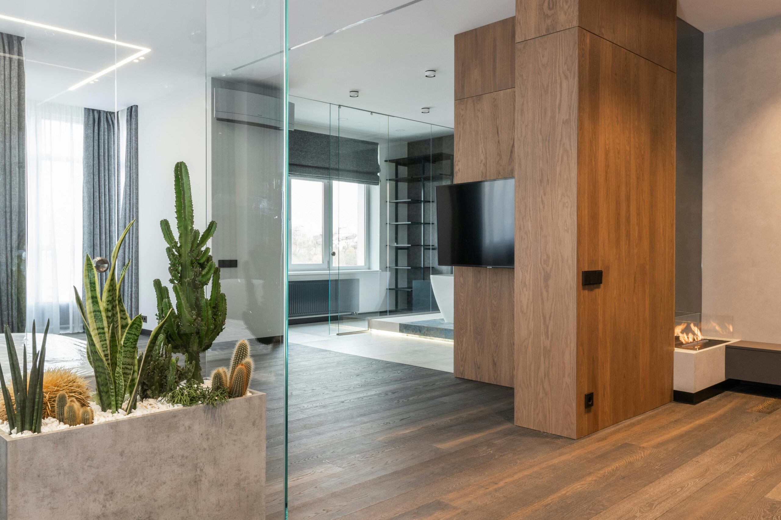 Elegant modern living room featuring wooden accents and indoor cacti garden.